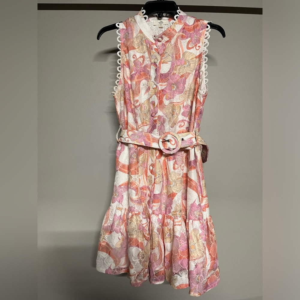 Embroidered Floral Mini Dress with Belt